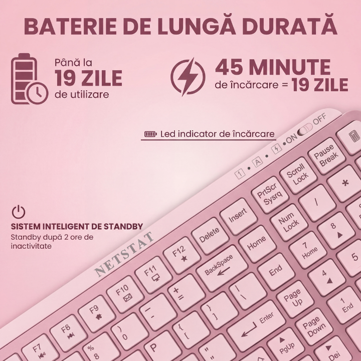 Tastatura Wireles Office NETSTAT®️, Roz — imagine 3