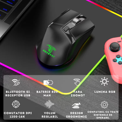 Mouse Wireless Office NETSTAT®️, Negru