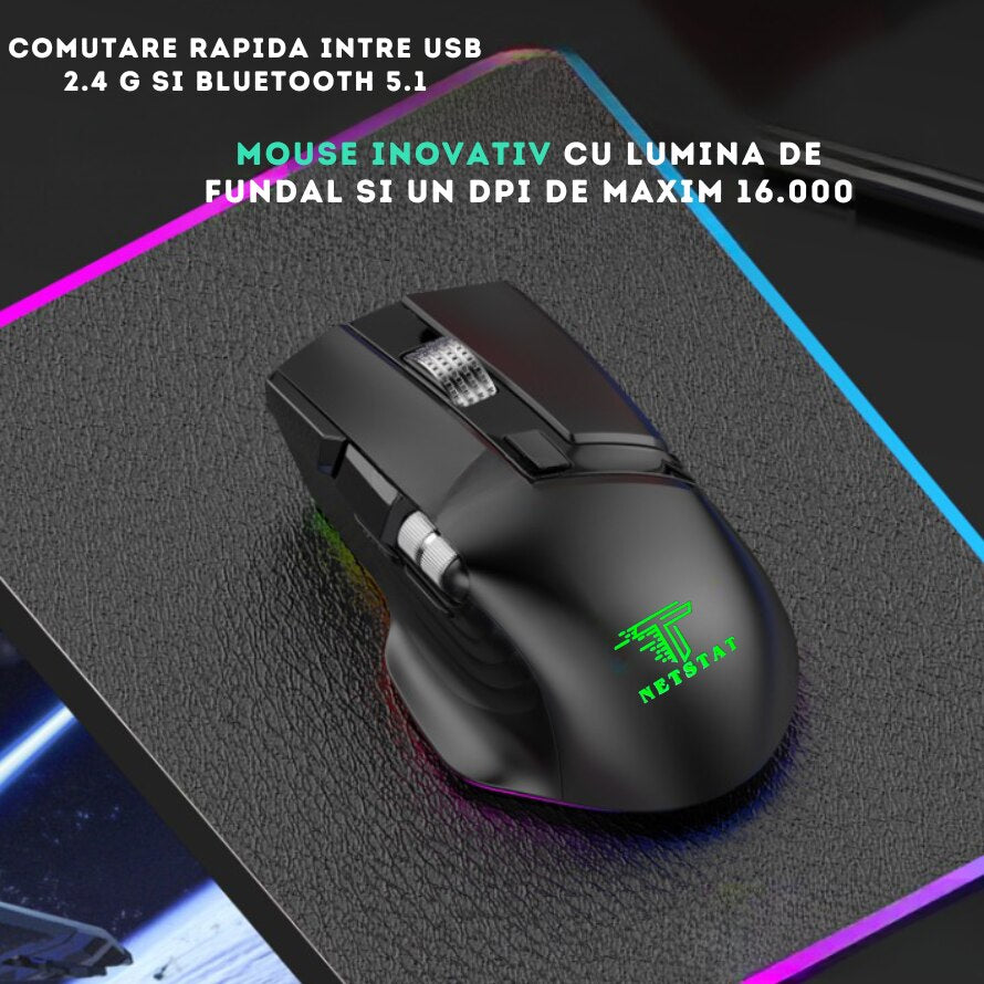 Mouse Wireless Office NETSTAT®️, Negru