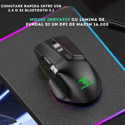 Mouse Wireless Office NETSTAT®️, Negru